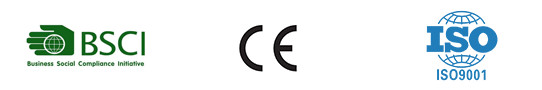 Полученные сертификаты